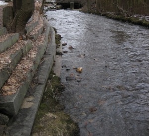 Mill Brook flows under Mystic St.